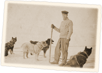 Dimitri and some of the dogs